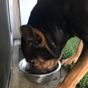 Meet your Posher, Matt